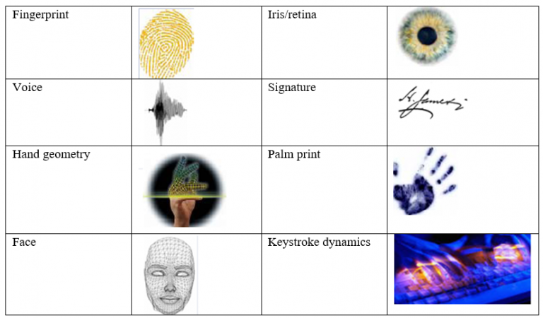 What Does Biometrics Mean Which Is The Best Biometric